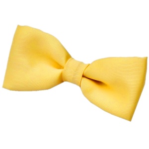 Boys Yellow Satin Plain Dickie Bow Tie on Elastic
